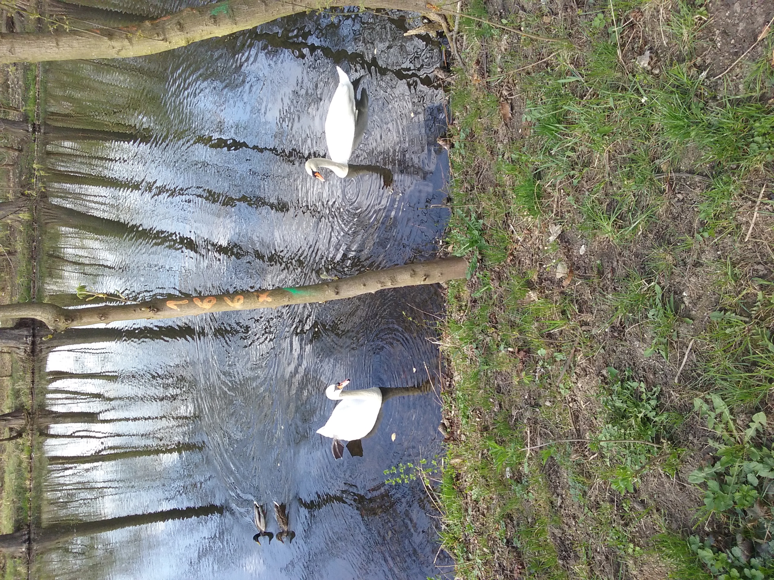 Olaf Cieślik klasa I c zdjęcie 1.jpg